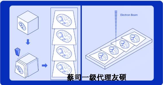 邯郸蔡司邯郸扫描电镜